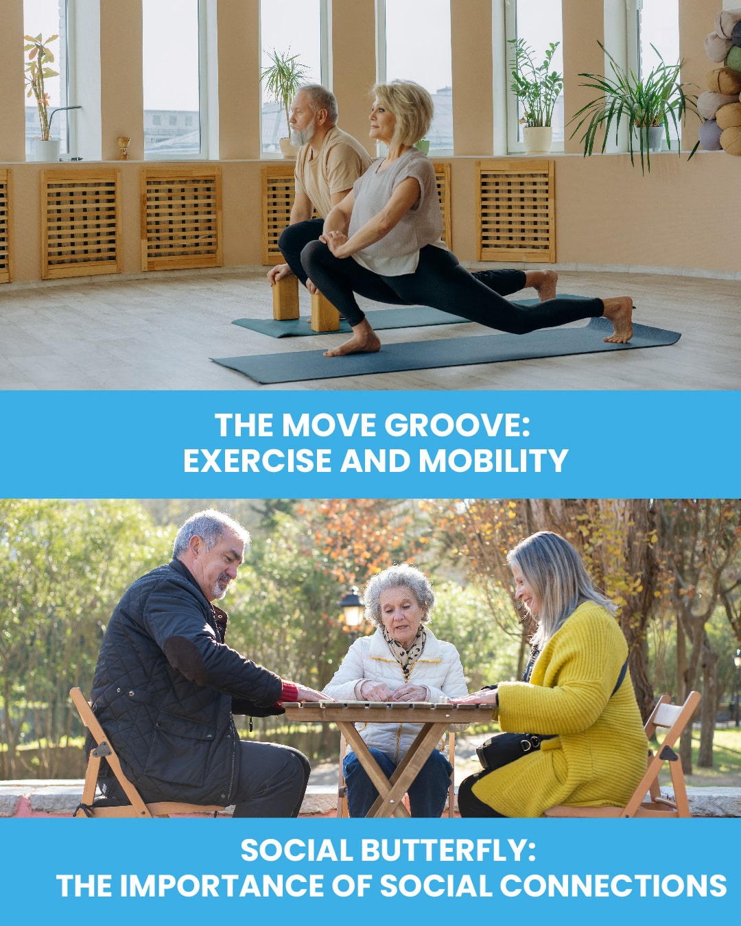 Top: Elderly couple stretching with 'The Move Groove: Exercise and Mobility' title. Bottom: Three elderly people playing table game at park with 'Social Butterfly: The Importance of Social Connections' title