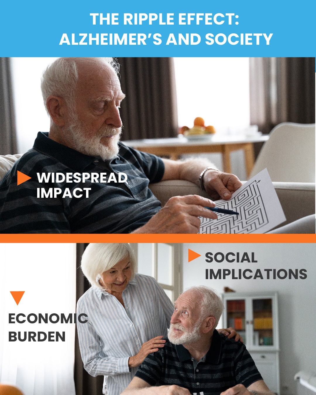 Tri-sectioned image featuring titles 'The Ripple Effect: Alzheimer’s and Society', 'Widespread Impact', 'Social Implications', and 'Economic Burden', depicting elderly individuals engaged in activities and interactions